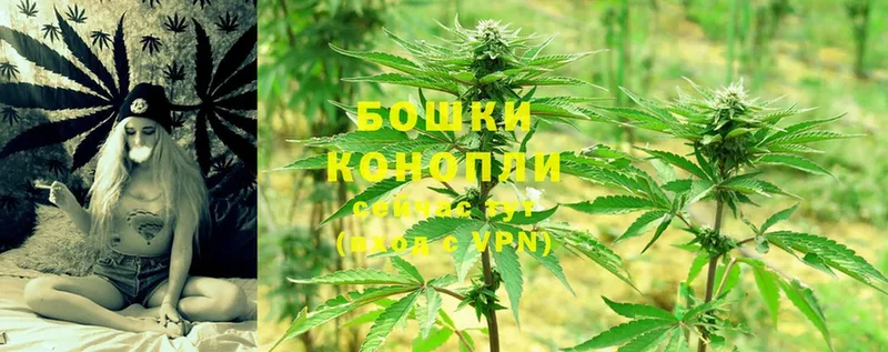 Бошки Шишки SATIVA & INDICA  MEGA ссылки  Тырныауз  как найти закладки 